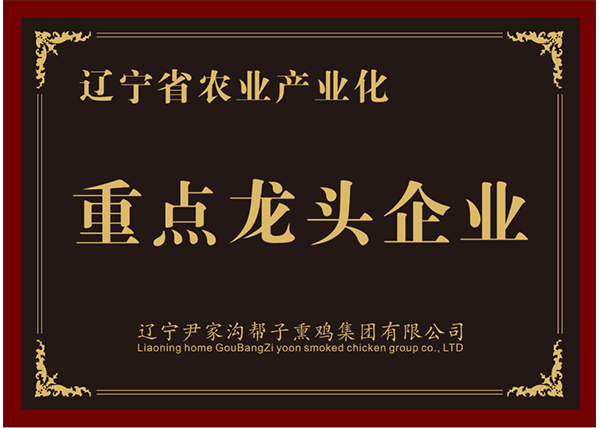 重點龍頭企業(yè)